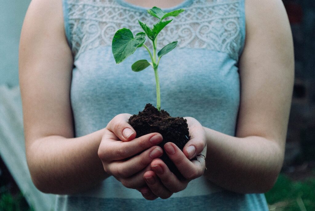Financial Planning Ballarat planting an investment